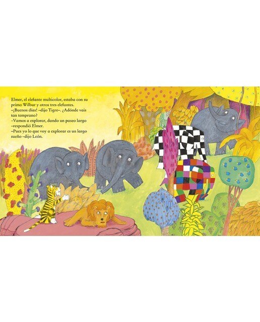 Elmer. Un cuento - Elmer y el tesoro perdido (Capa dura) 4