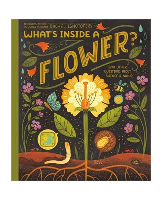 What's inside a flower? 1