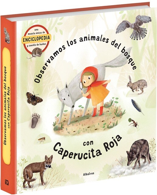 Observamos los animales del bosque