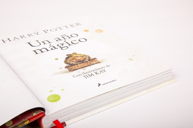 Un año mágico (Harry Potter) (Tapa dura) 13