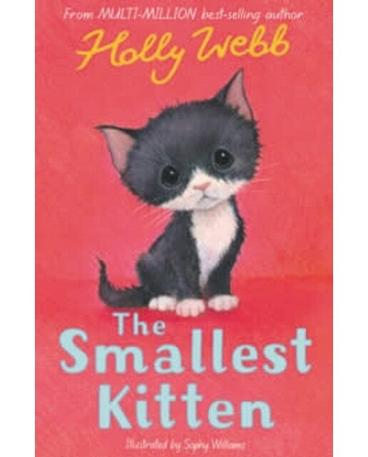 Hw: the smallest kitten 1