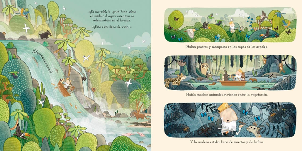 ¡Salvemos los bosques!: Ayuda a Finn y Skip a proteger la naturaleza  (Tapa dura) 3