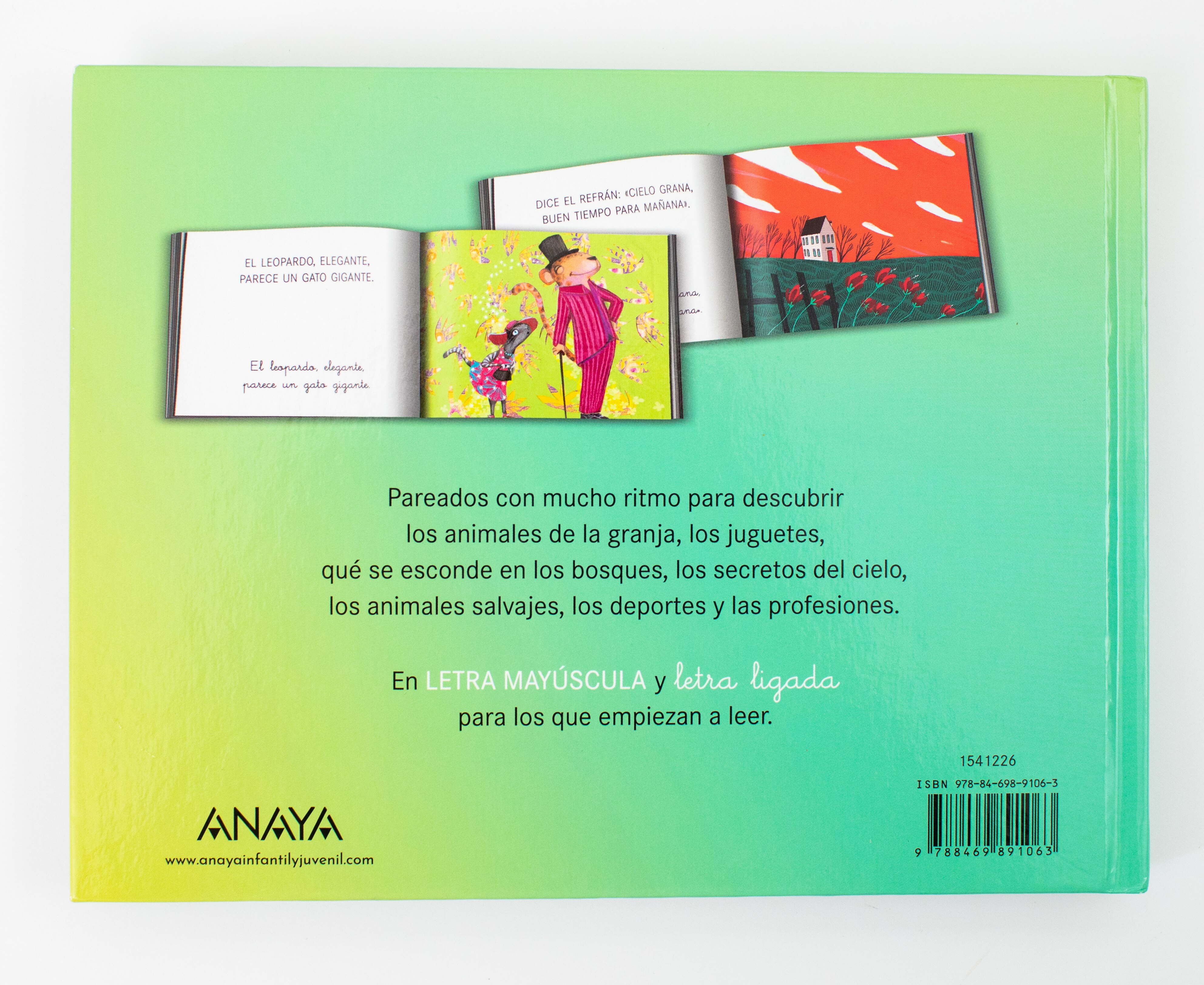 Rima que rima  (Tapa dura) 2