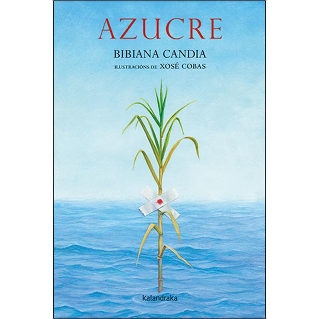Azucre (Capa dura) 1