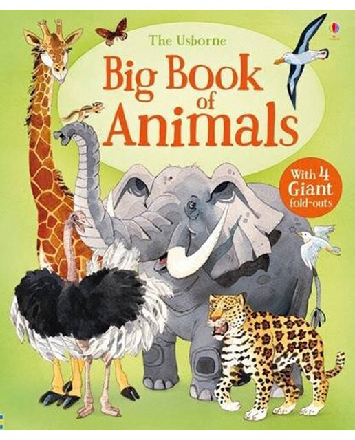 Big Book Of Animals 1