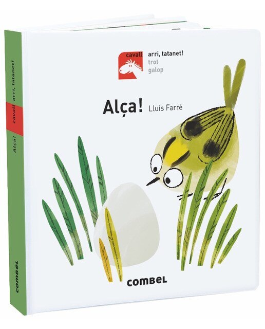 Imagen 0 de Alça!
