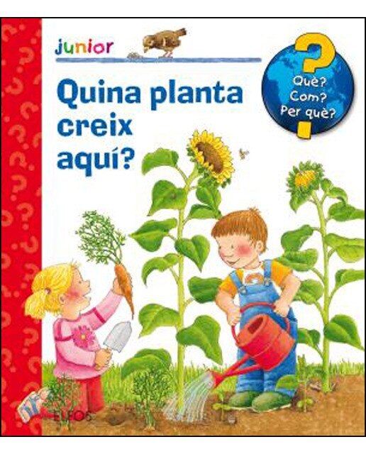 Imagen 0 de Quina planta creix aquí? (Tapa dura)