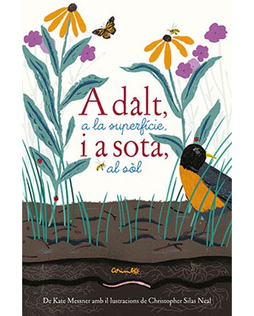 Imagen 0 de ADALT A LA SUPERFICIE I A SOTA AL SOL