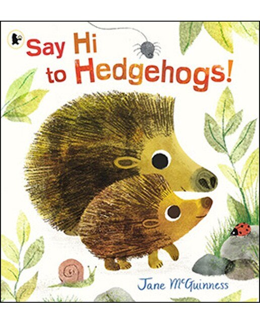 Say Hi To Hedgehogs 1