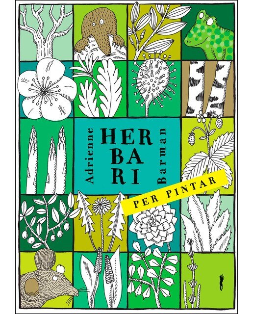 Imagen 0 de Herbari per pintar