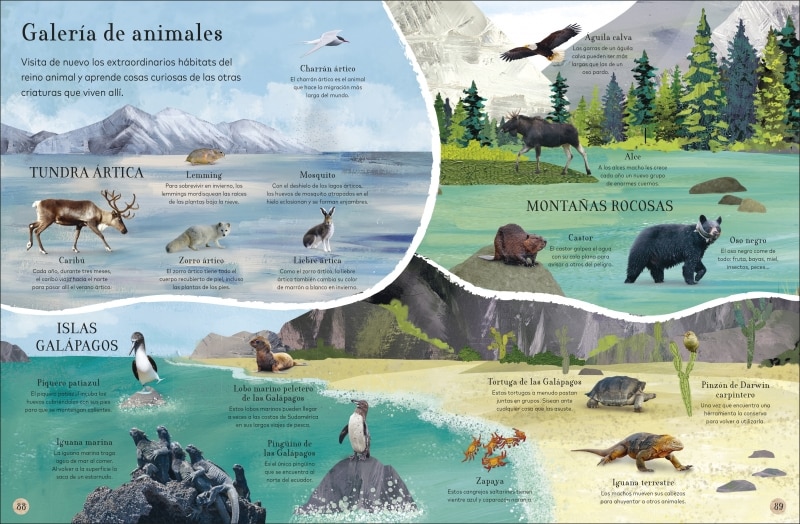 ¿Dónde viven los animales?: Animales asombrosos y sus extraordinarios hábitats  (Tapa dura) 2