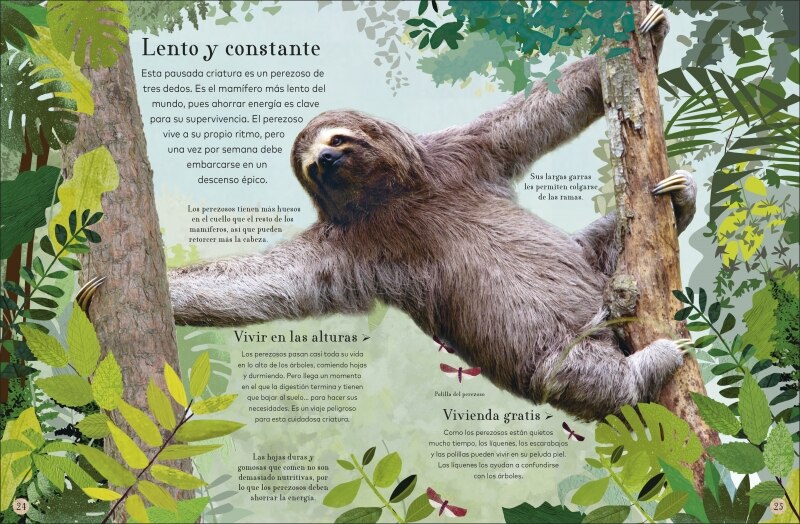 ¿Dónde viven los animales?: Animales asombrosos y sus extraordinarios hábitats  (Tapa dura) 6