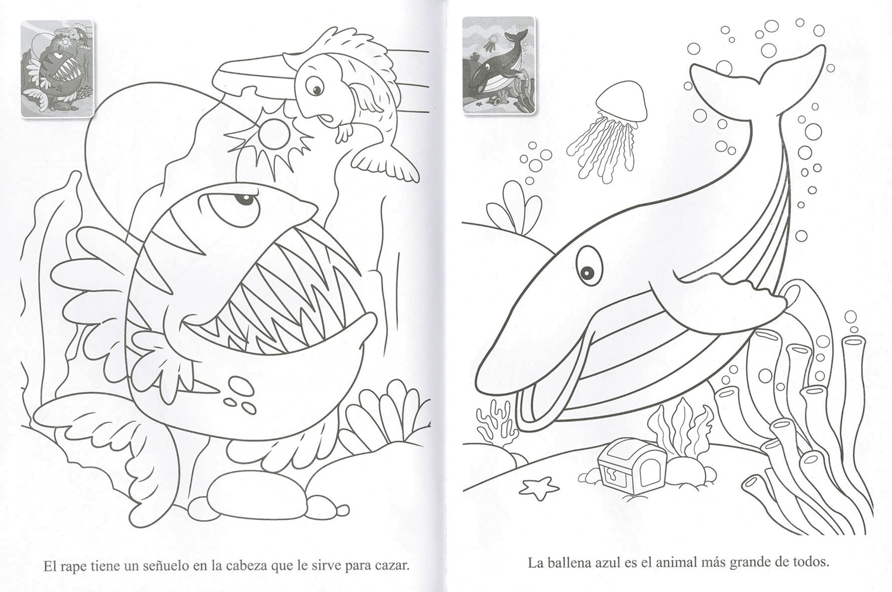 Animales del mar(Tapa blanda) 2