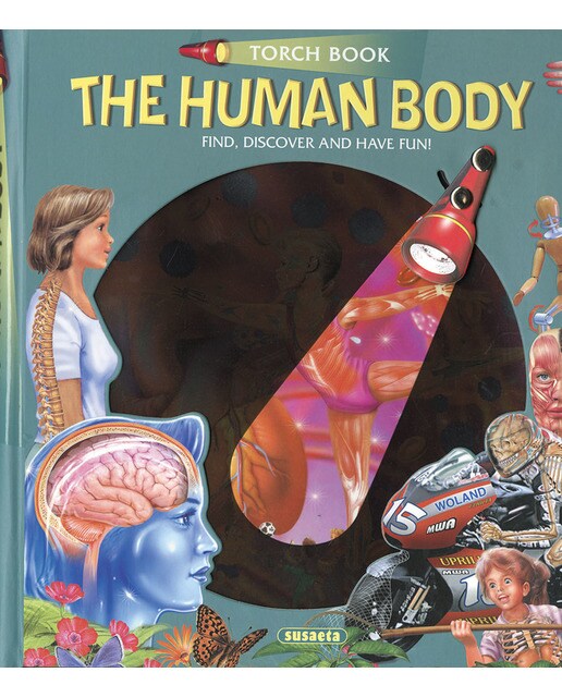 The human body 1