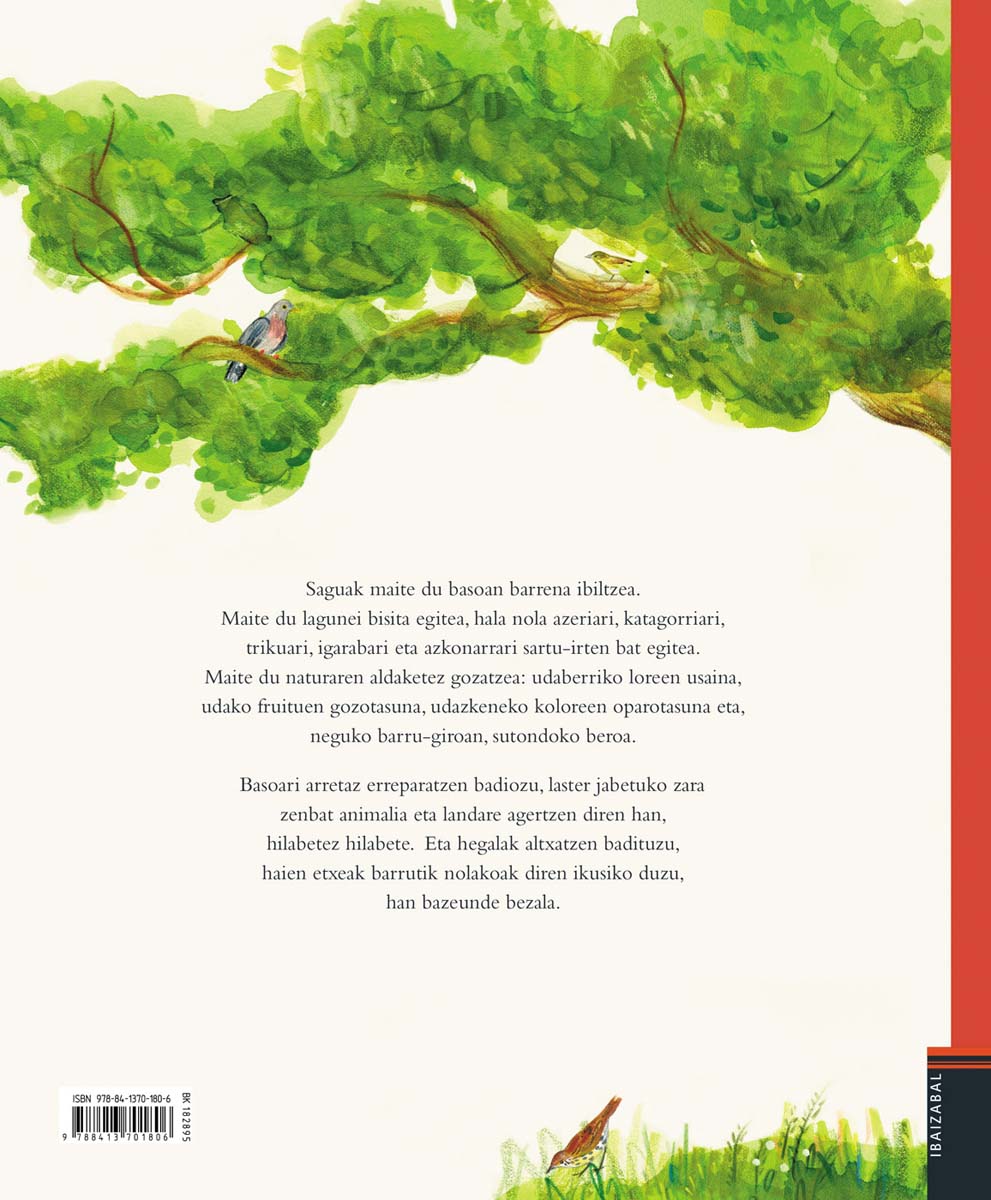 Urtebete saguaren basoan(Tapa dura) 2