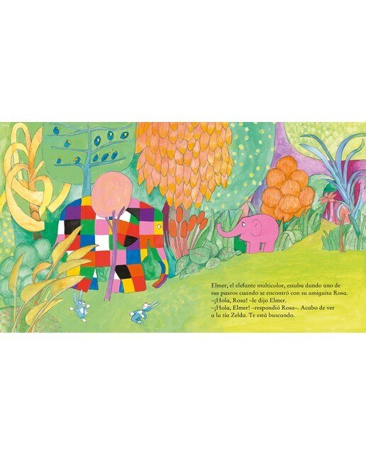 Elmer. Un cuento - Elmer y el regalo  (Tapa dura) 4