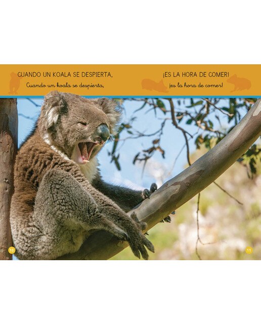 Aprende a leer con National Geographic (Prelectores) - Koalas: Con letra ligada y mayúscula (Capa mole) 3