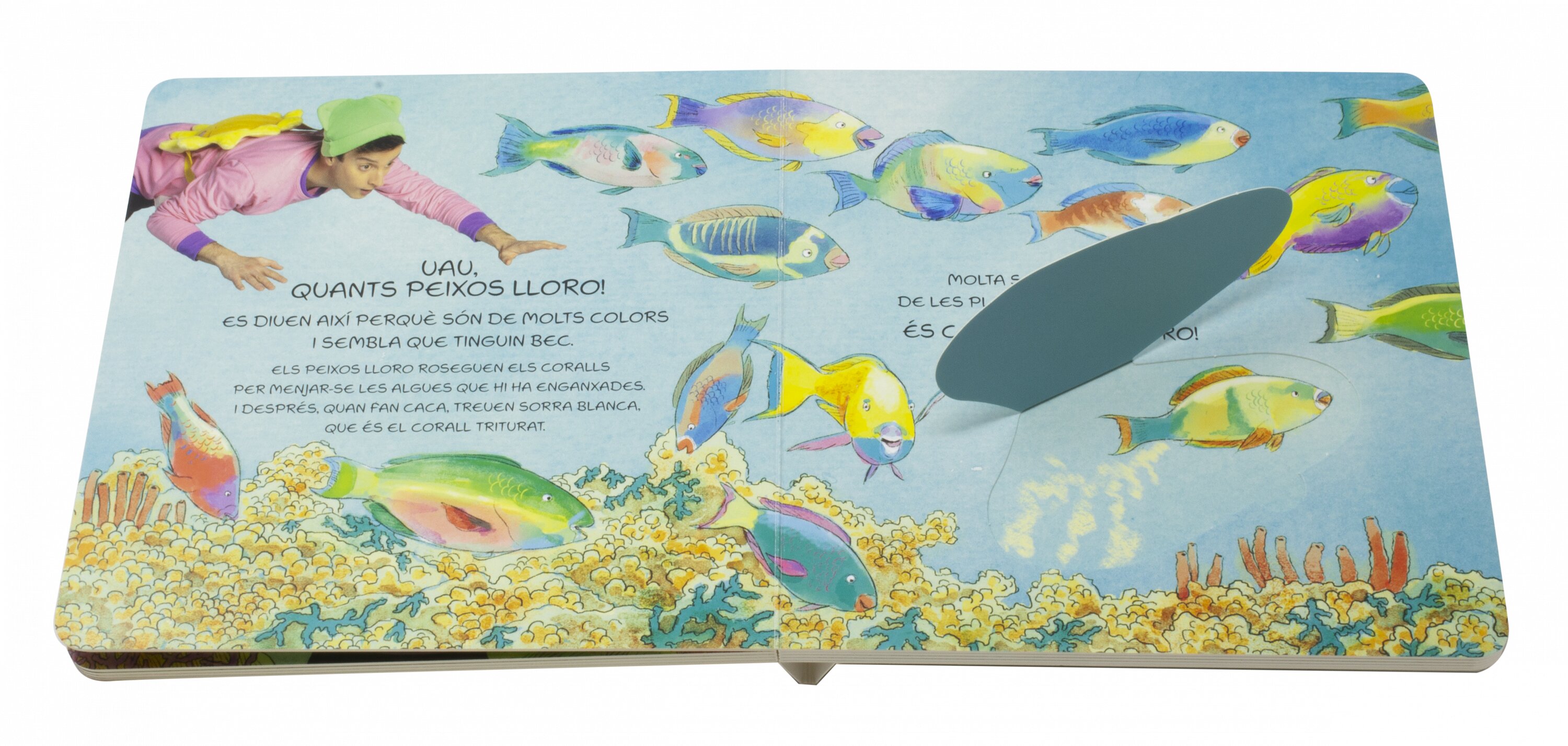 Titó. Excursió al fons del mar: Llibre de cartró amb solapes 2