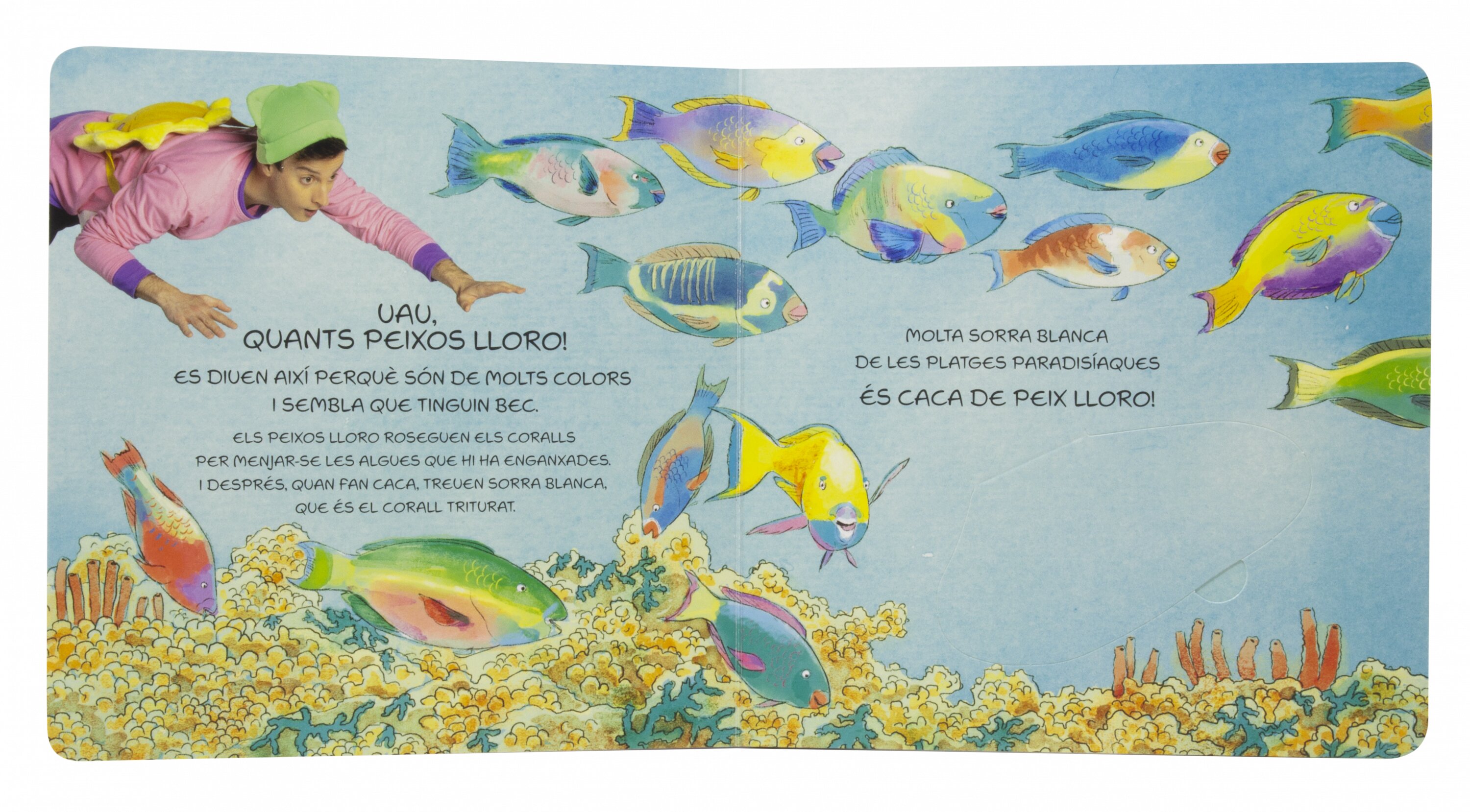 Titó. Excursió al fons del mar: Llibre de cartró amb solapes 3