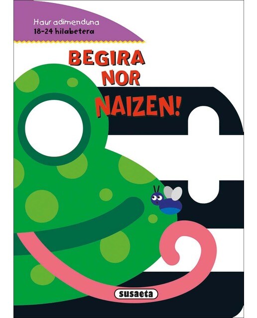 Begira nor naizen 1