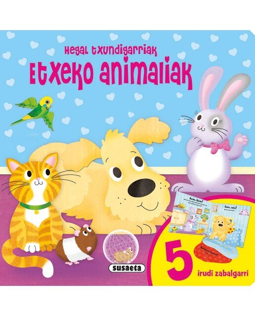 Etxeko animaliak 1