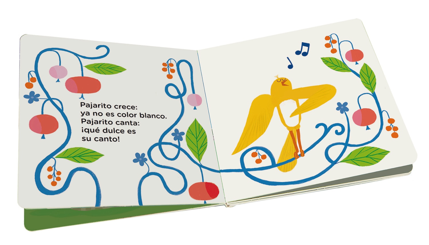 La casa de pajarito (Capa dura) 2