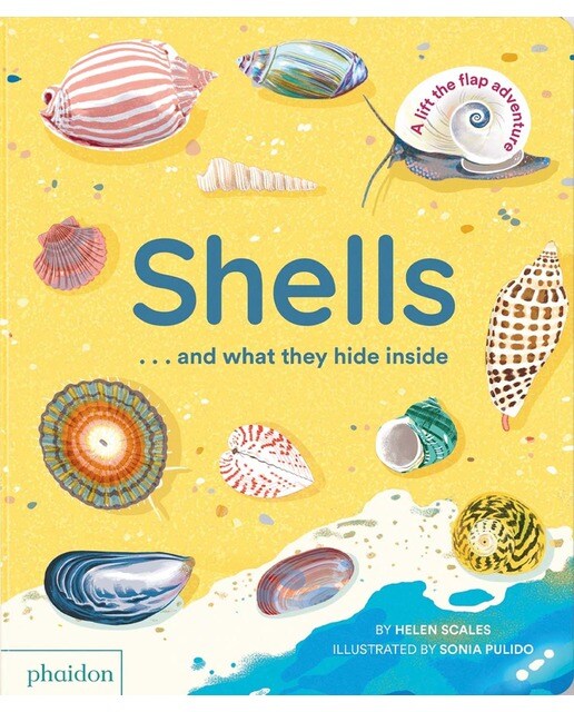 Shellsaand what they hide inside 1