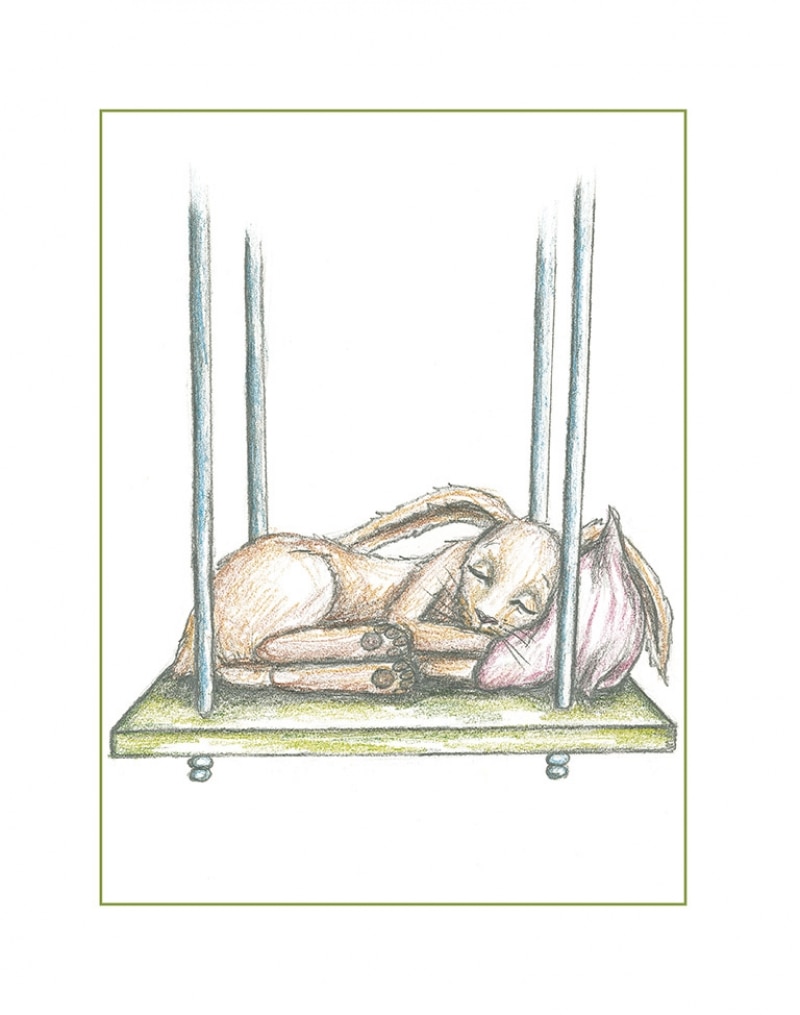 El conejito que quiere dormirse: Un nuevo método para ayudar a los niños a dormir (Capa dura) 2