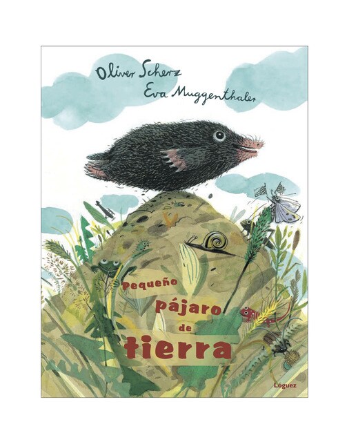 Pequeño Pájaro De Tierra 1