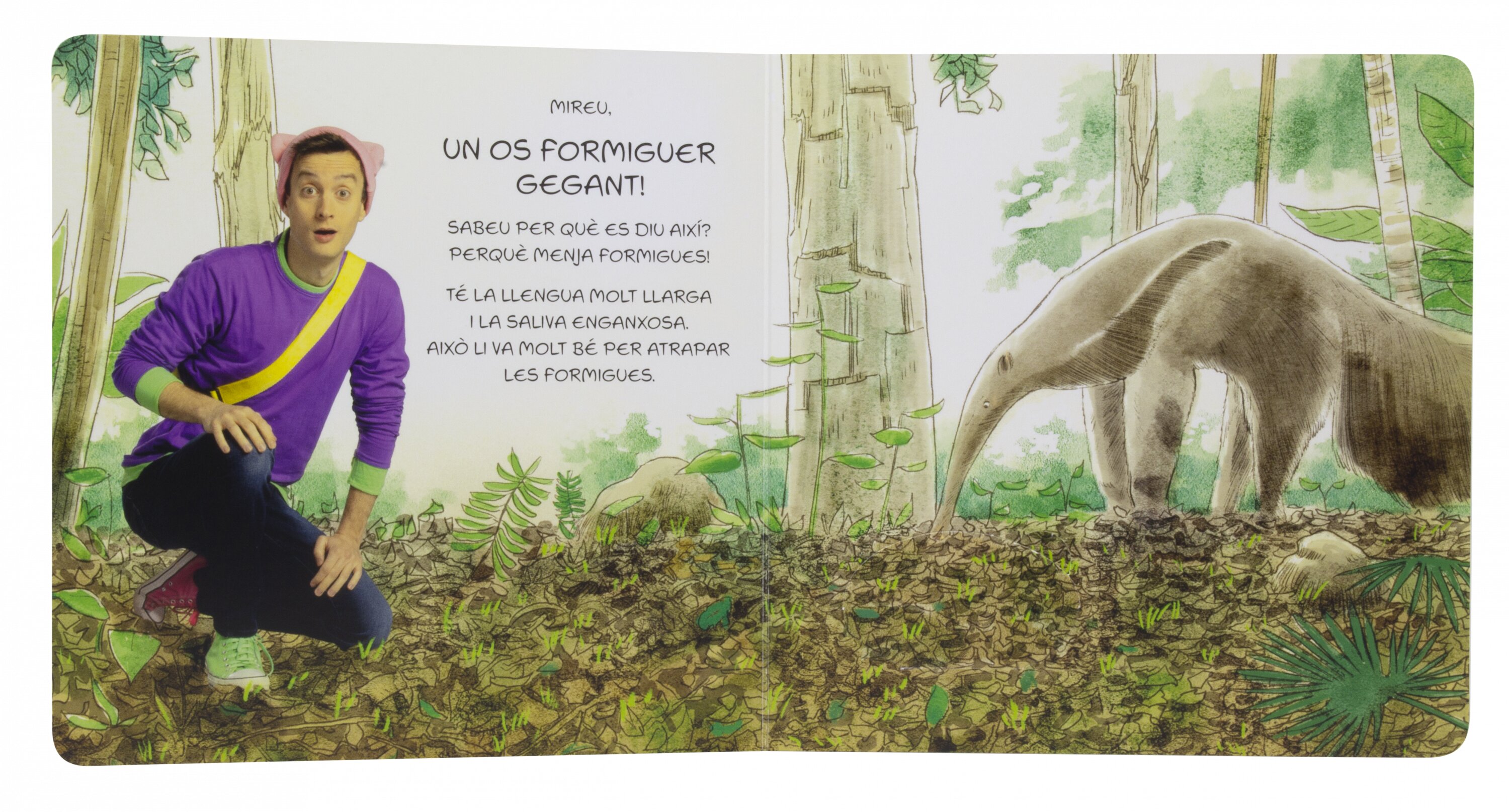 Titó. Excursió a la selva: Llibre de cartró amb solapes (Capa dura) 4