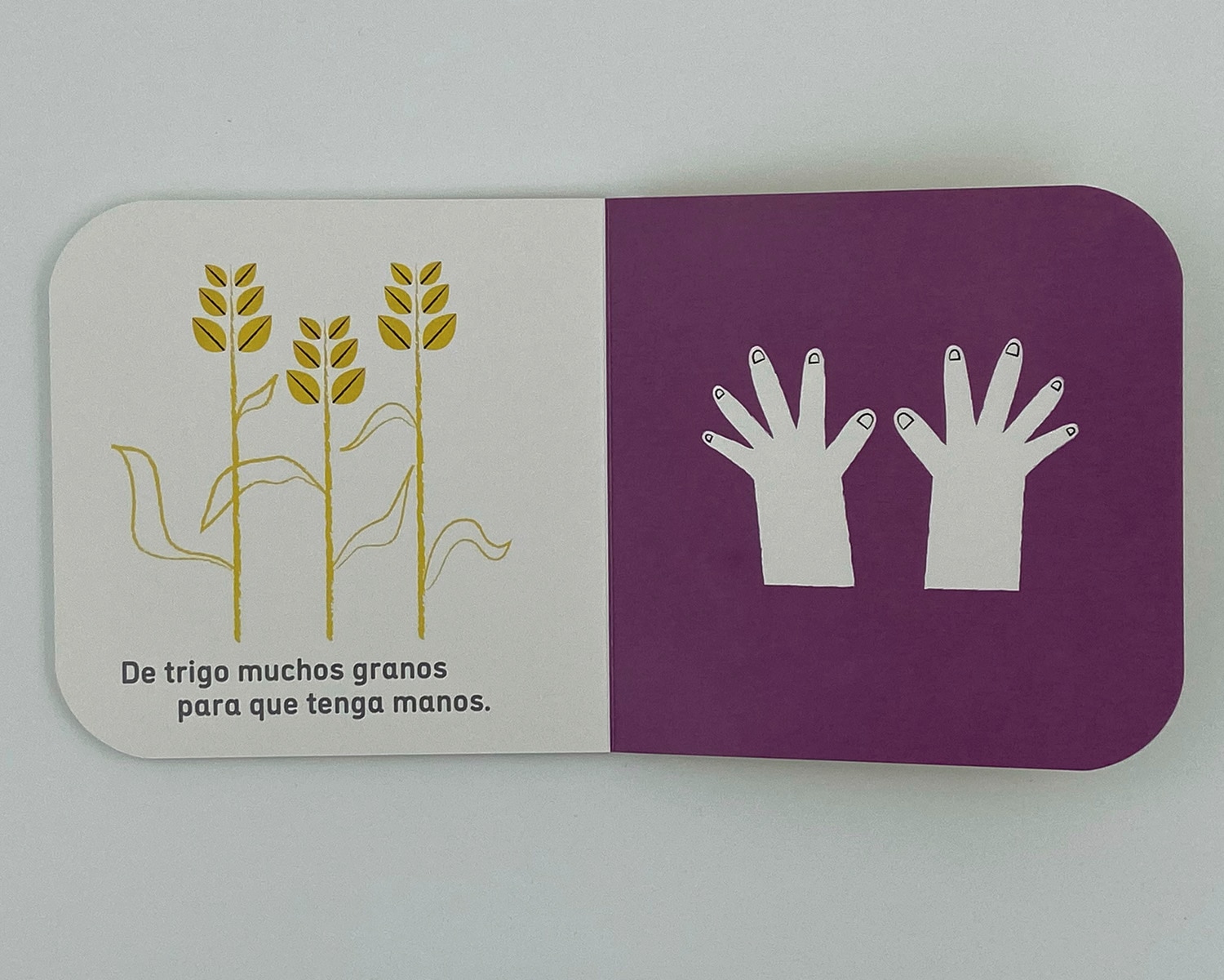 ¿Le pondremos un bigote? 4
