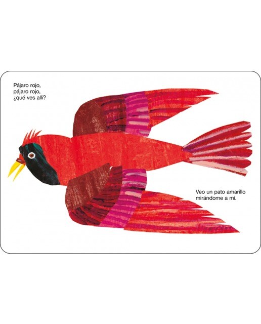 Oso pardo, oso pardo, ¿qué ves allí? (Colección Eric Carle) 4