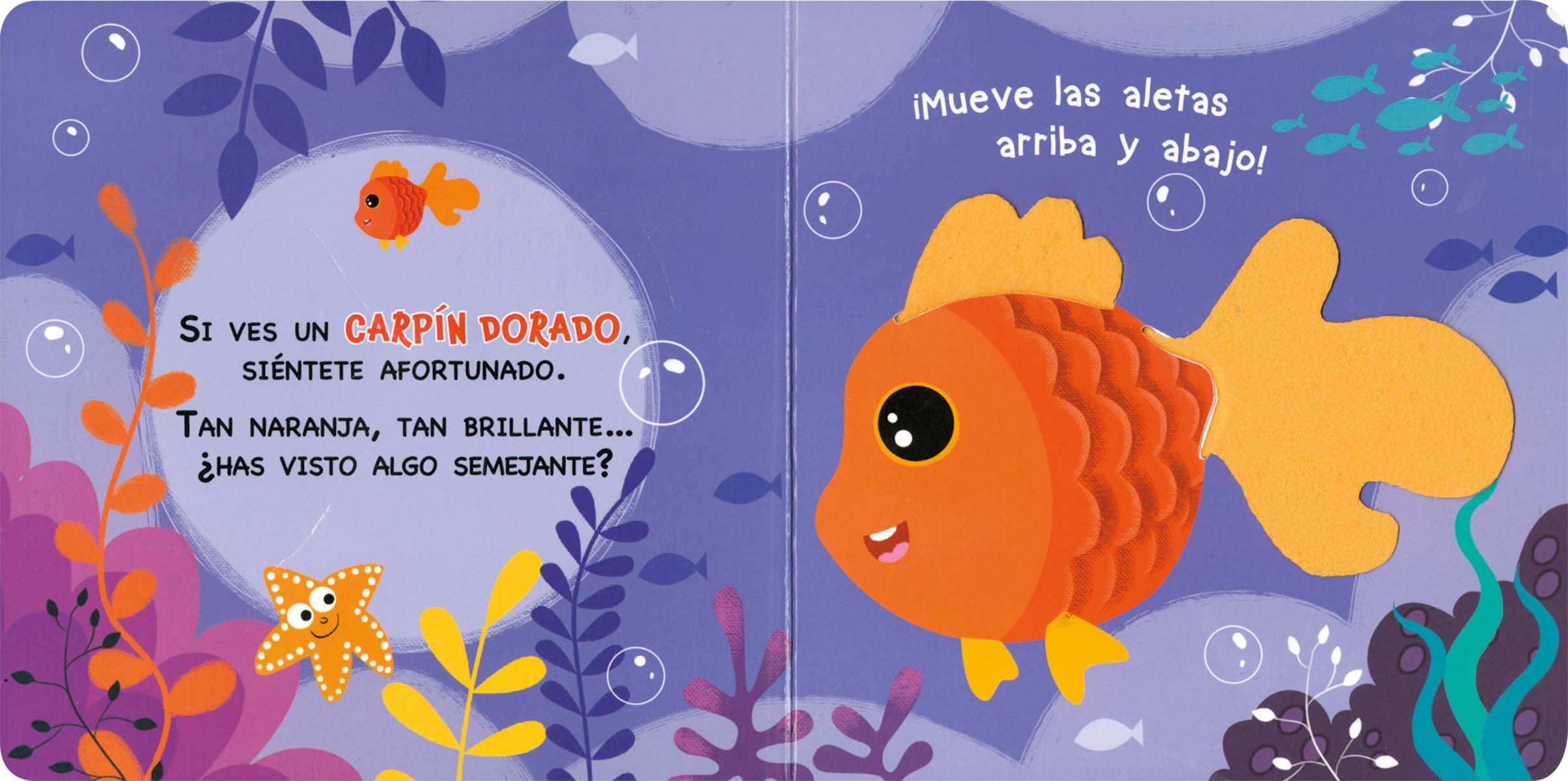 Amigos del mar (Capa dura) 2