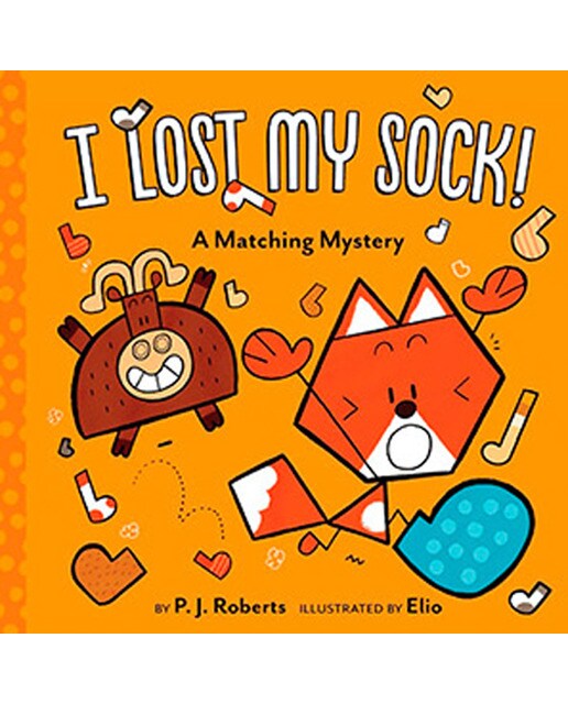 I Lost My Sock!: A Matching Mystery 1