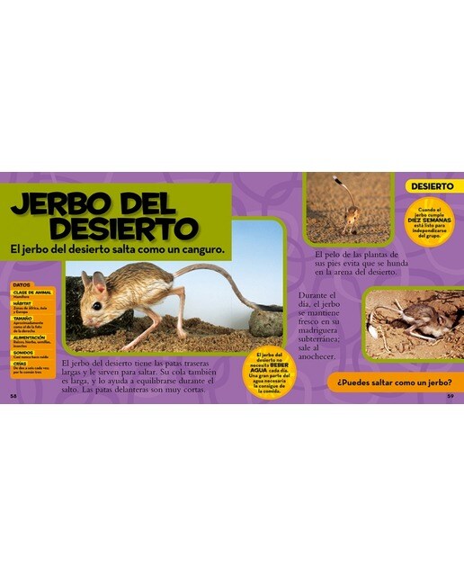Mi primer gran libro de los animales(Tapa dura) 3