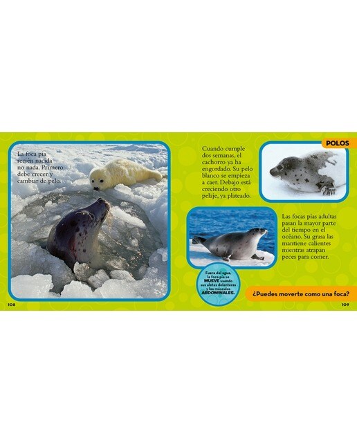Mi primer gran libro de los animales(Tapa dura) 5