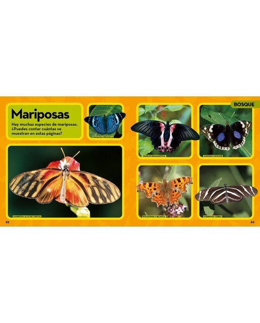 Mi primer gran libro de los animales(Tapa dura) 6