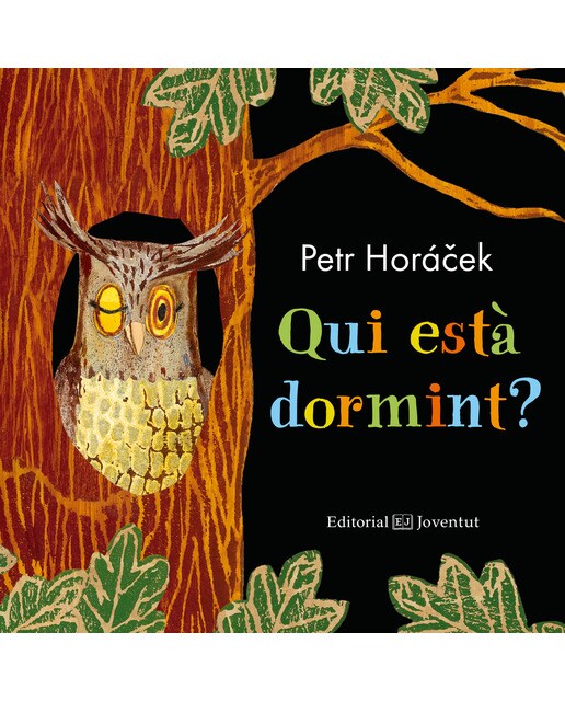 Qui Està Dormint? 1