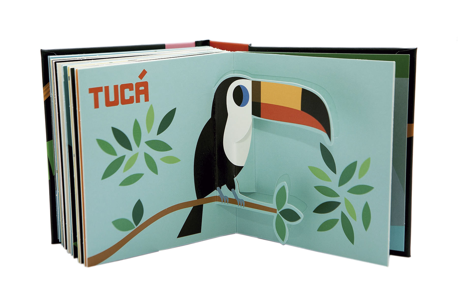 A la selva!(Tapa dura) 2