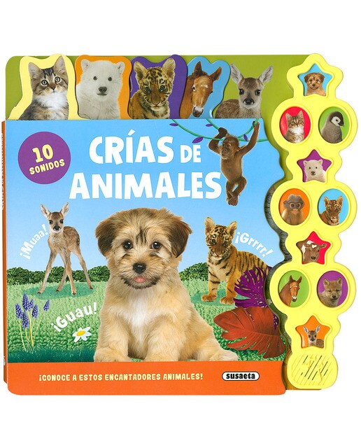 Crías de animales 1