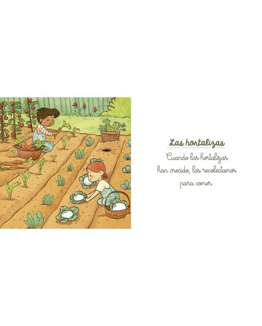 Creciendo con Montessori. Libro de cartón - El huerto 3