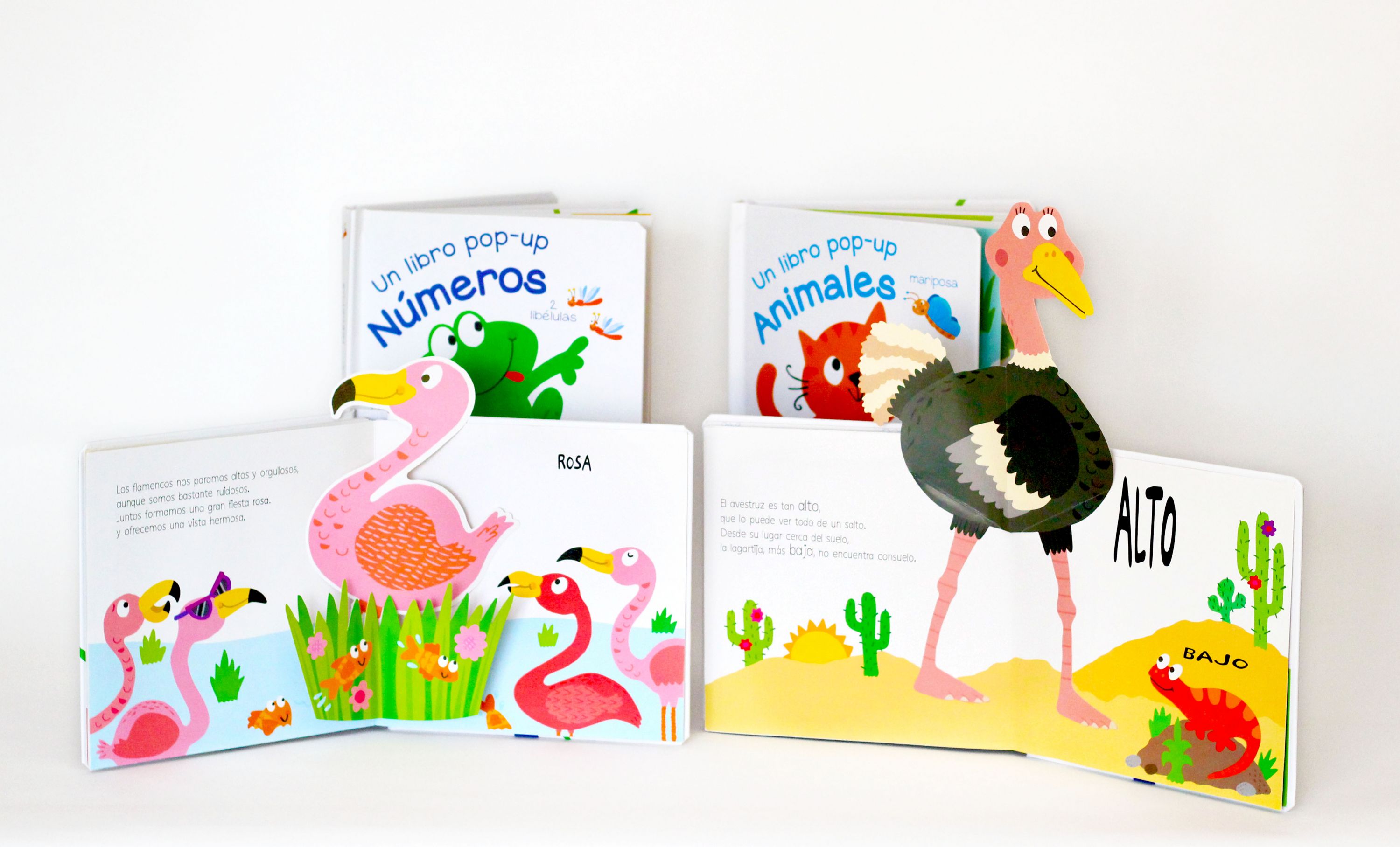 Colores: Un libro pop-up(Tapa dura) 3