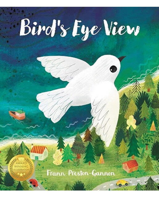 A bird's eye view 1