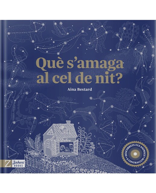Què s'amaga al cel de nit 1