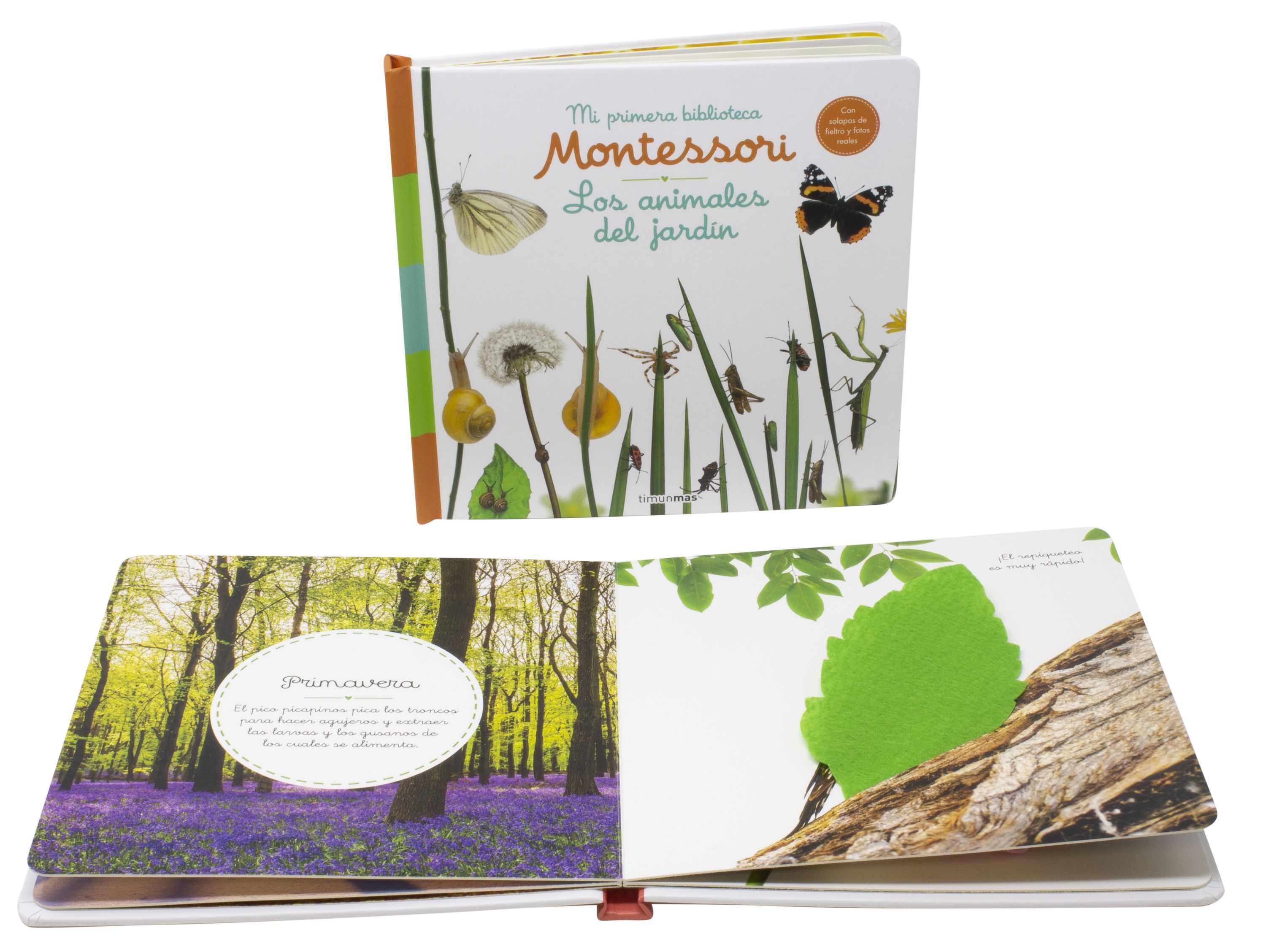 Los animales del bosque. Mi primera biblioteca Montessori: Con solapas de fieltro y fotos reales 2
