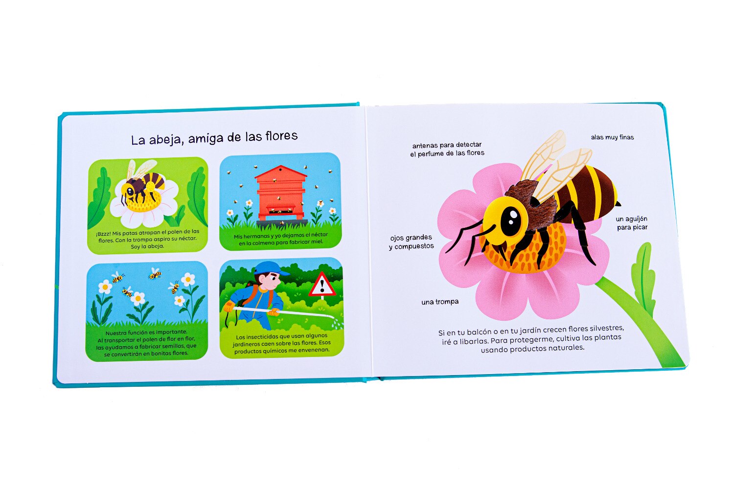 Animales que proteger (Capa dura) 3