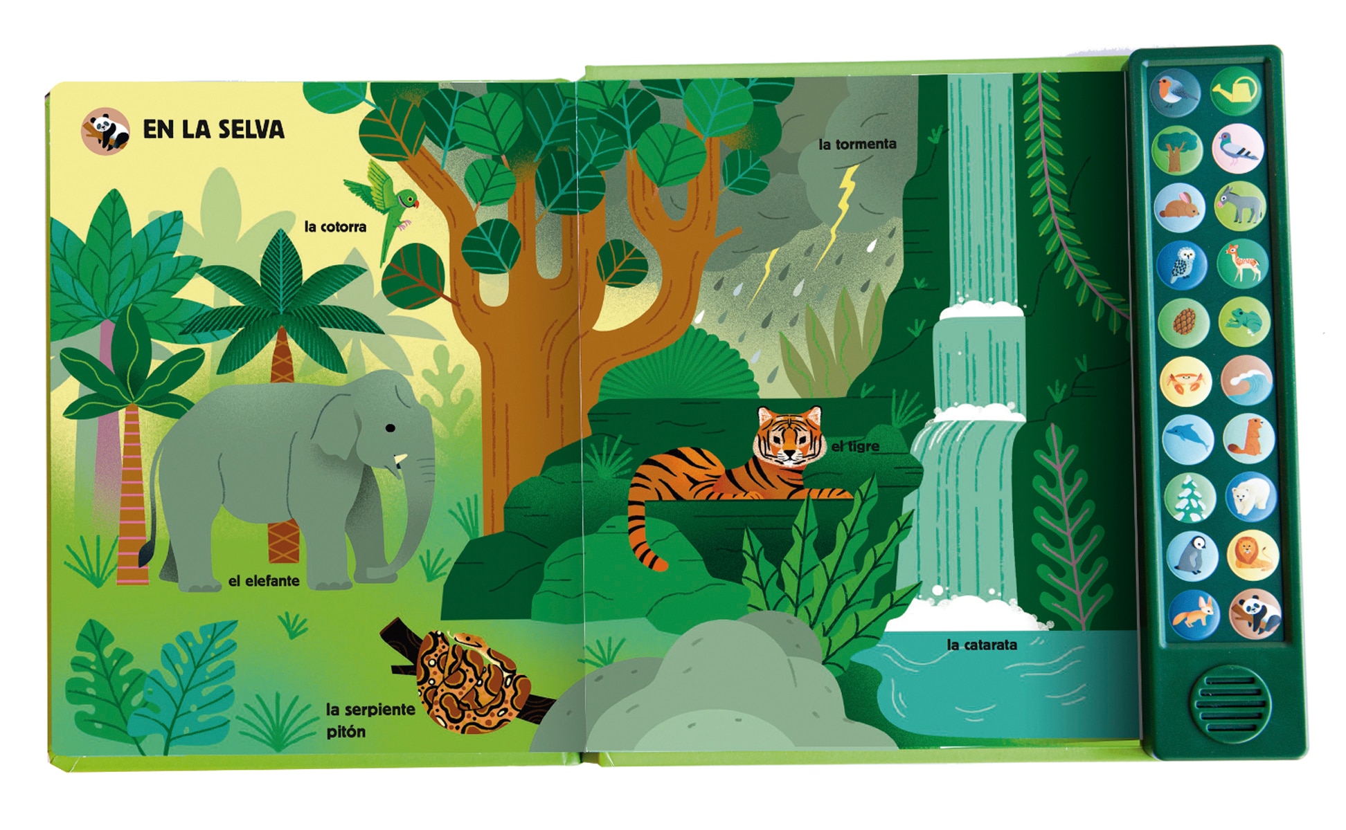La naturaleza y yo. Mi imaginario sonoro (Capa dura) 2