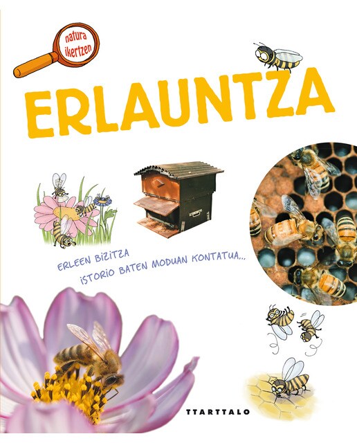 Erlauntza 1