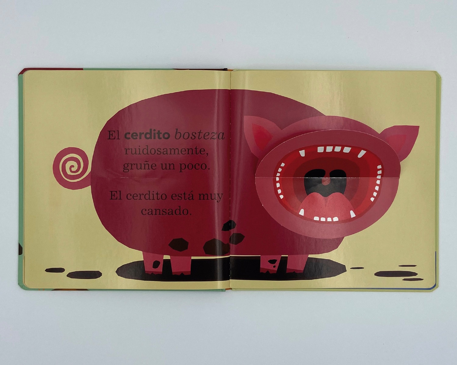 Todos bostezan (Tapa dura) 3