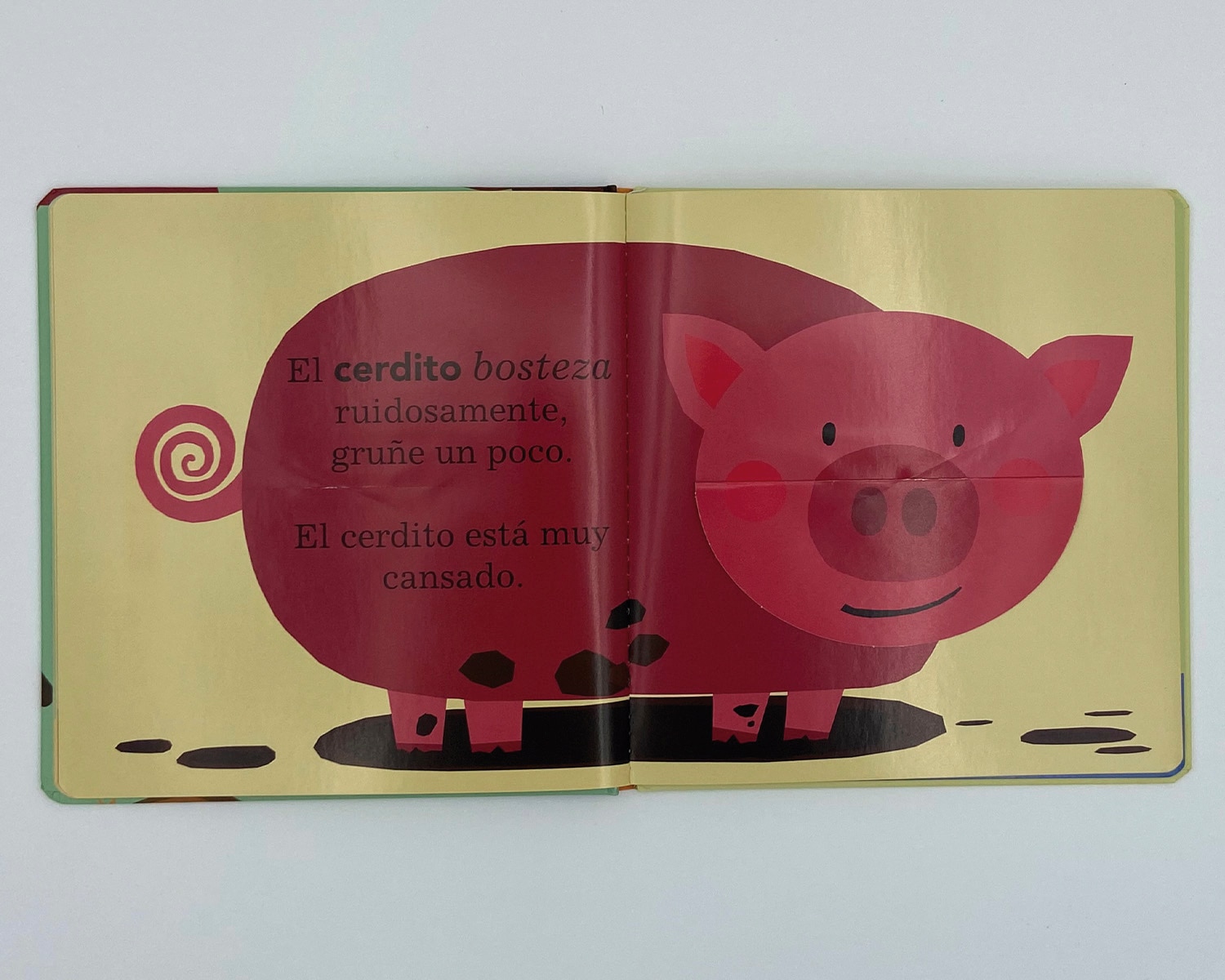 Todos bostezan (Tapa dura) 4